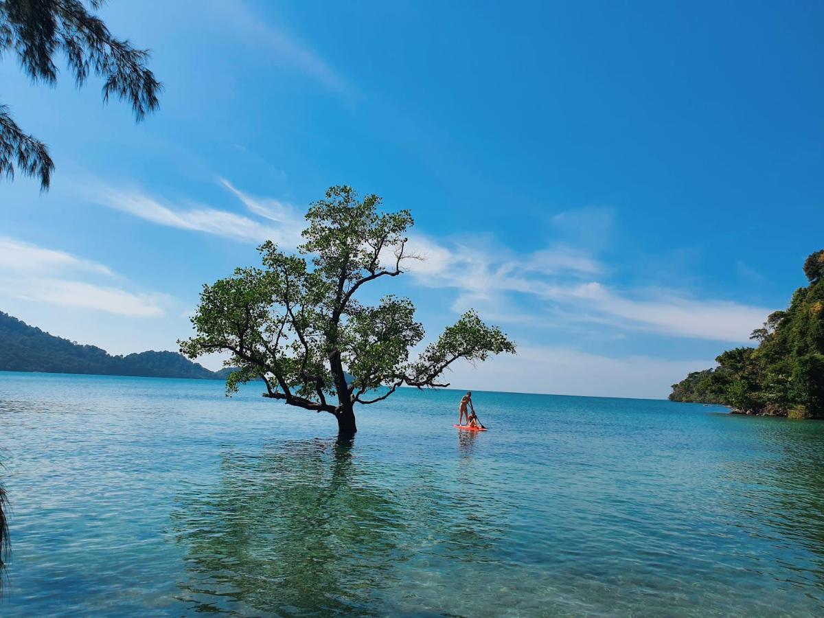 Coral Cove Beachfront Villa - チャン島 エクステリア 写真